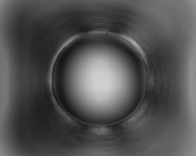 X0000092280957200709211153