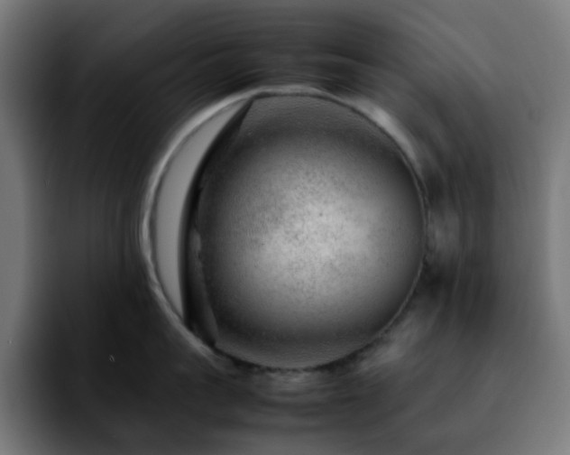 X0000092280959200709211153