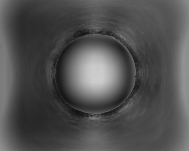 X0000092280961200709211152