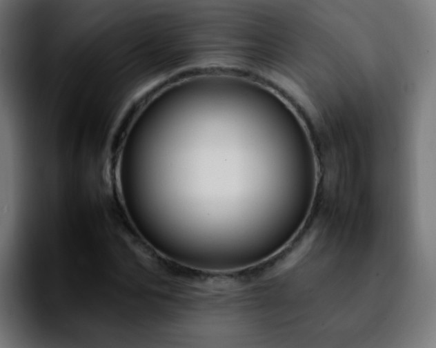 X0000092280974200709211152