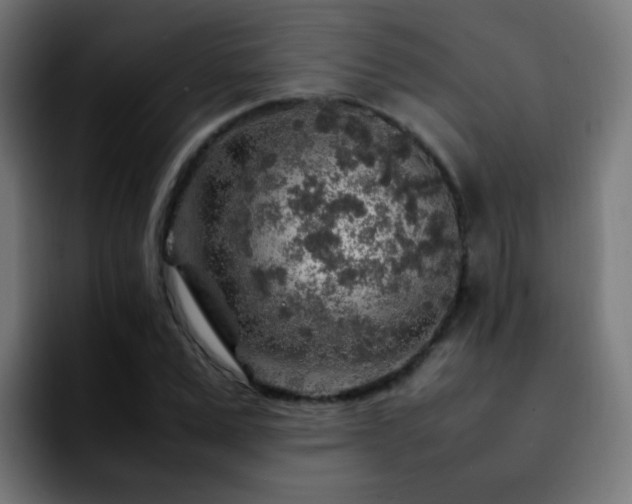 X0000092280975200709211152