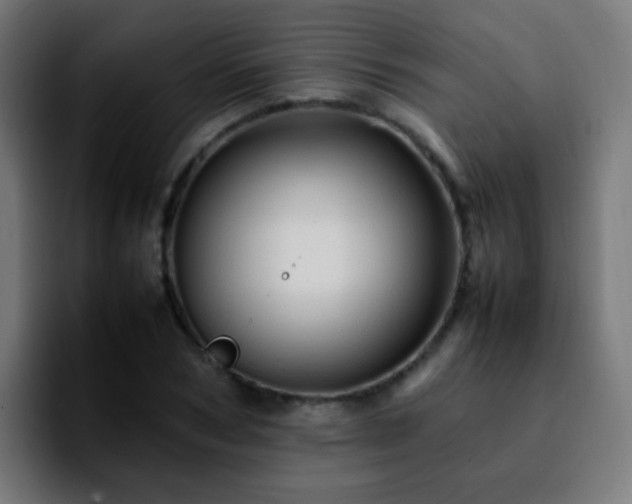 X0000092280978200709211152