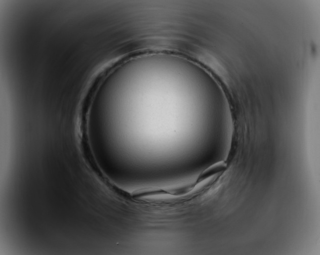 X0000092280979200709211152