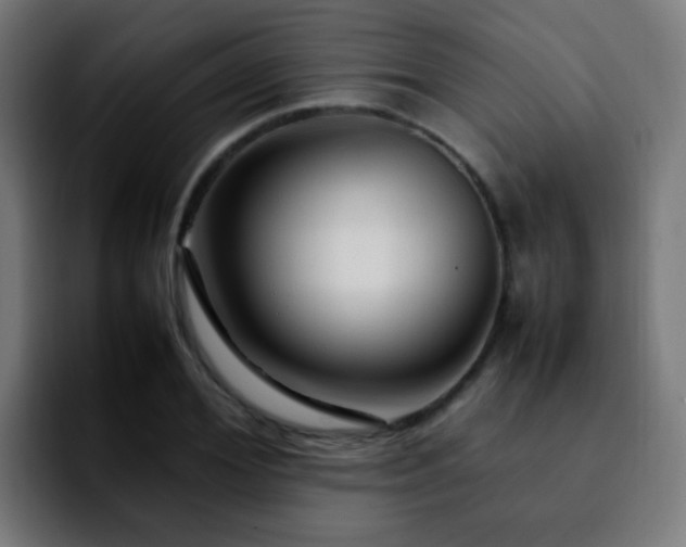 X0000092280980200709211152