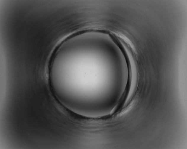 X0000092280981200709211152