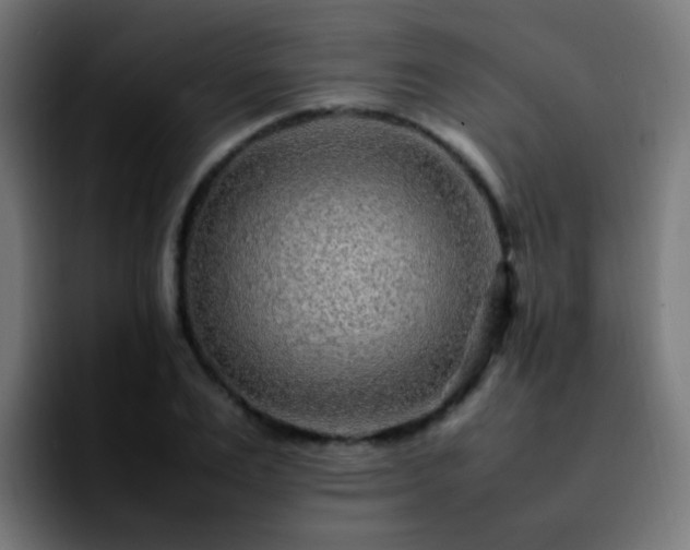 X0000092280983200709211152