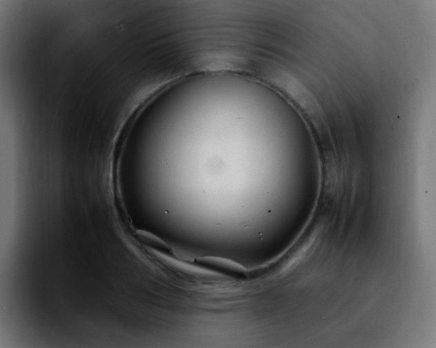 X0000092280986200709211152