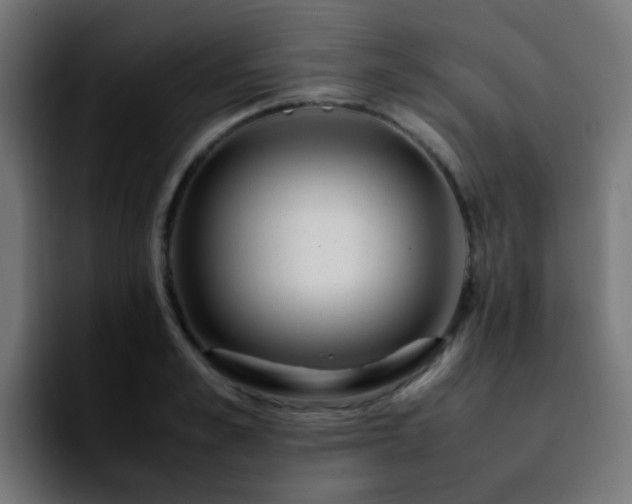 X0000092280989200709211152