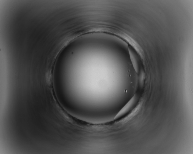 X0000092280993200709211152