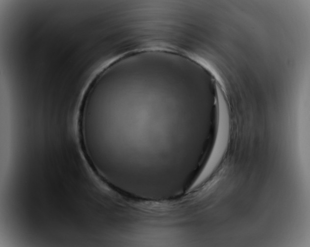 X0000092280995200709211152