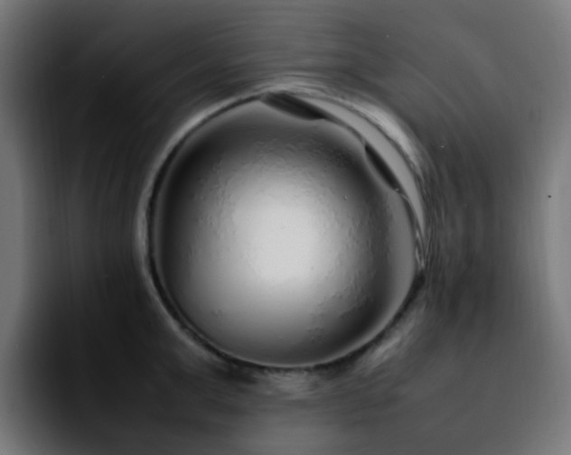 X0000092280999200709211152