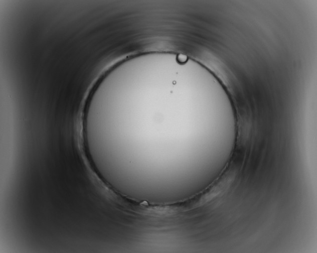 X0000092281000200709211152