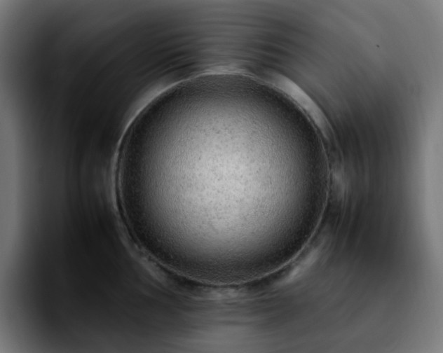 X0000092281002200709211152