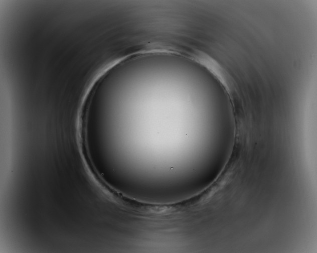 X0000092281003200709211152