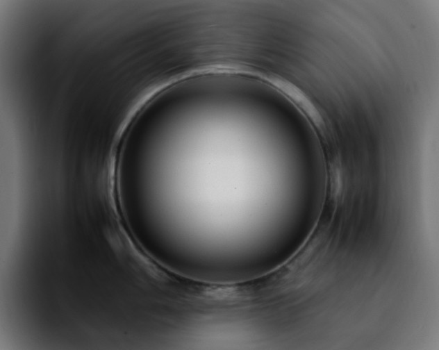 X0000092281006200709211152