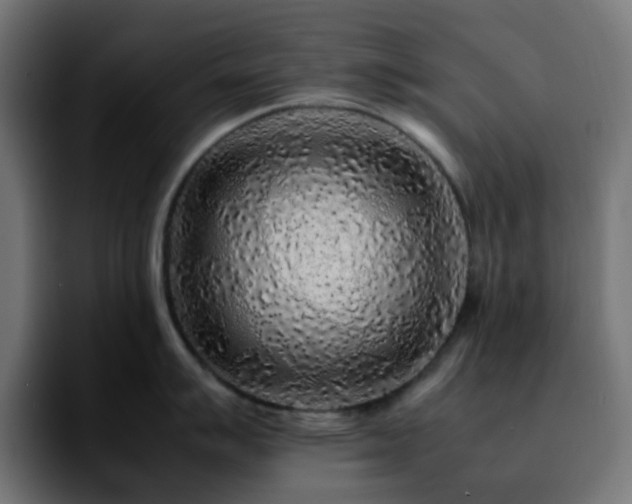 X0000092281007200709211152