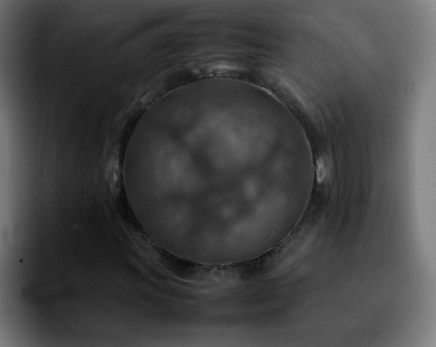 X0000092281011200709211151