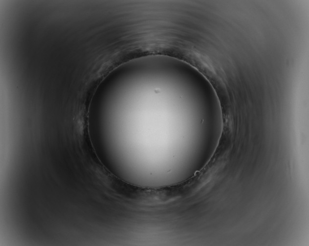 X0000092281012200709211151