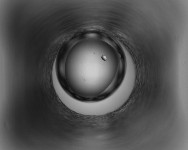 X0000092281014200709211151