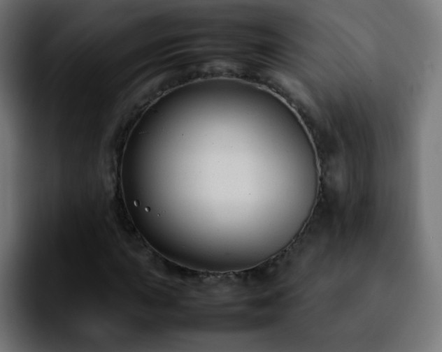 X0000092281015200709211151