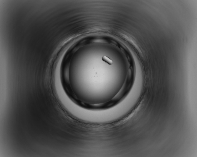 X0000092281018200709211151