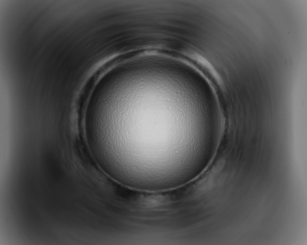 X0000092281019200709211151