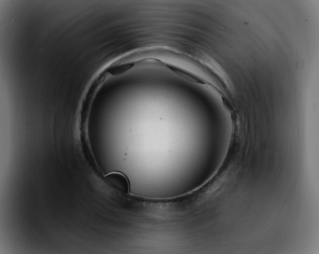 X0000092281020200709211151