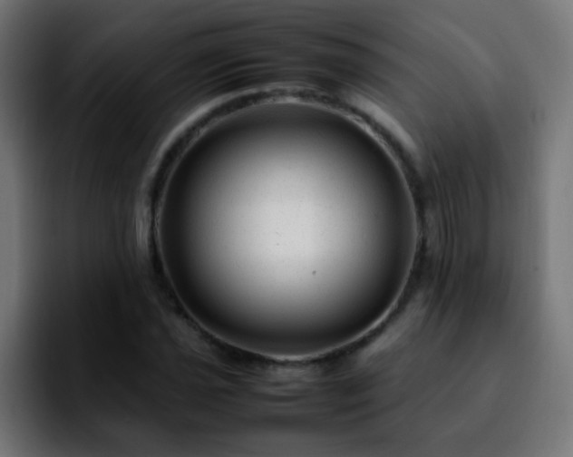 X0000092281021200709211151