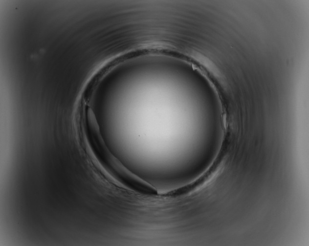 X0000092281022200709211151