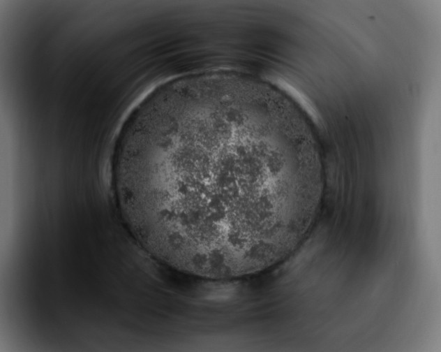 X0000092281023200709211151