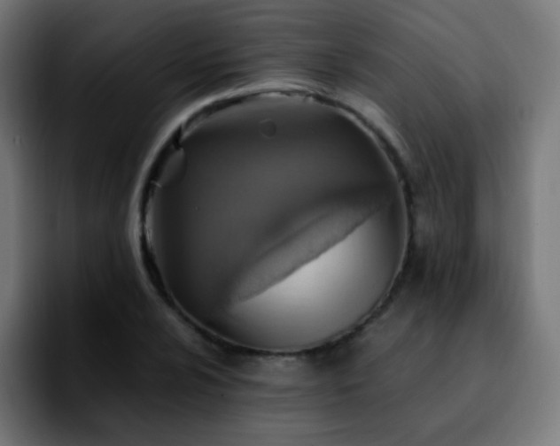 X0000092281024200709211151