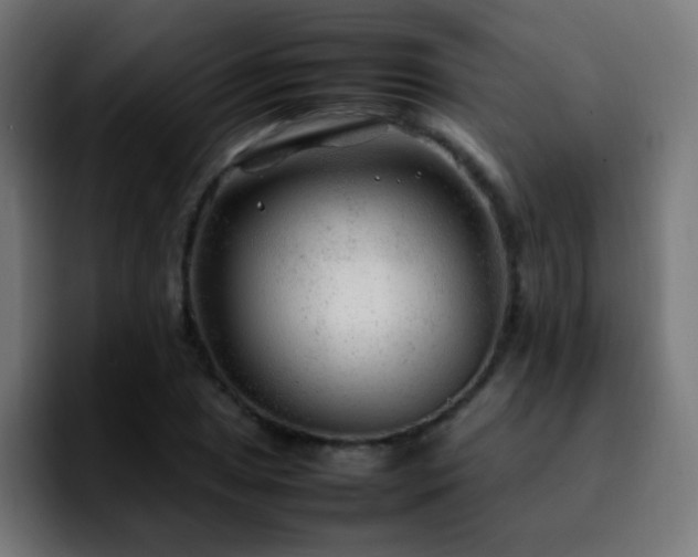 X0000092281025200709211151