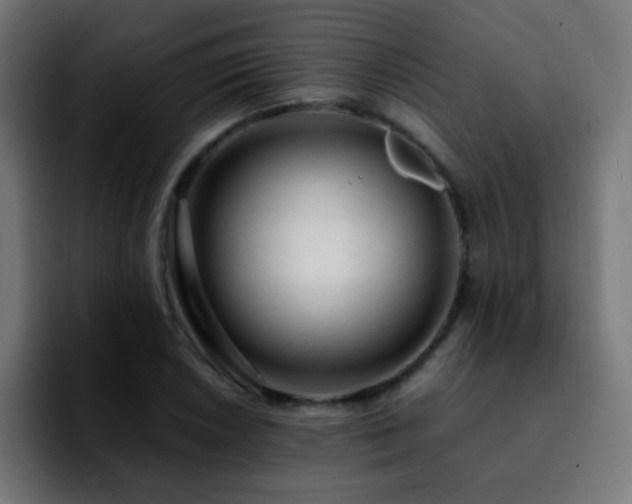 X0000092281026200709211151