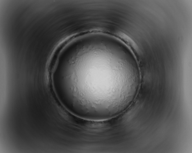 X0000092281027200709211152