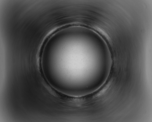 X0000092281029200709211152