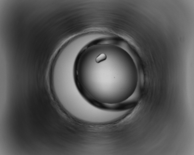 X0000092281030200709211152