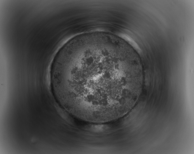 X0000092281031200709211152