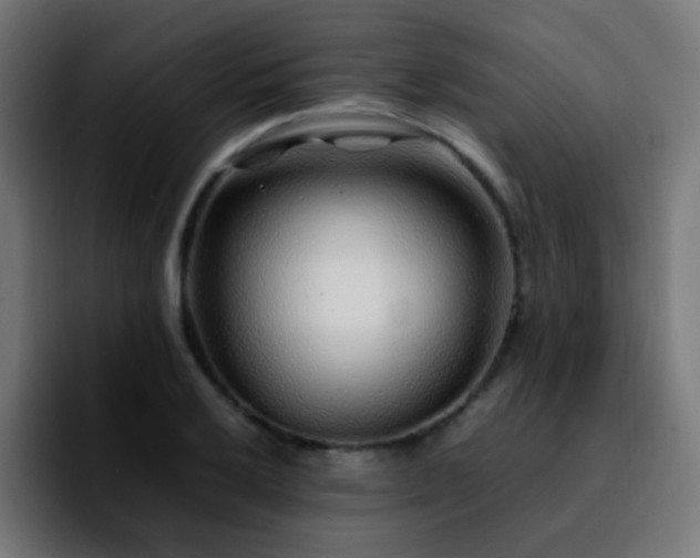 X0000092281032200709211152