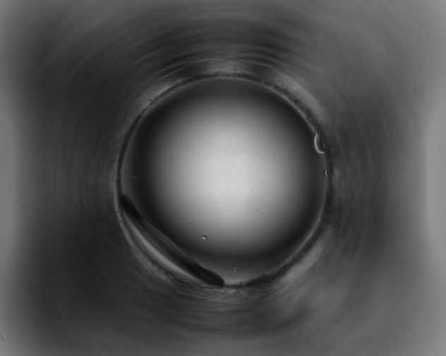 X0000092281033200709211152