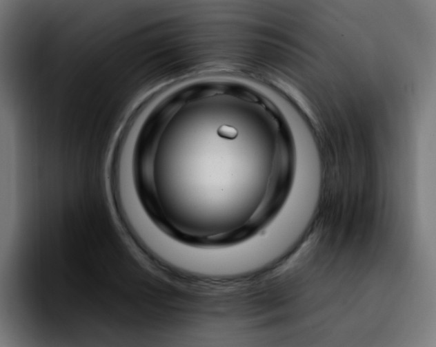 X0000092281034200709211152