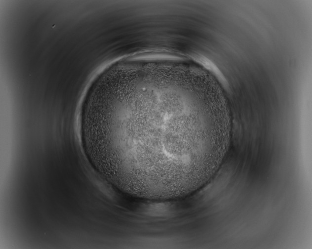 X0000092281035200709211152