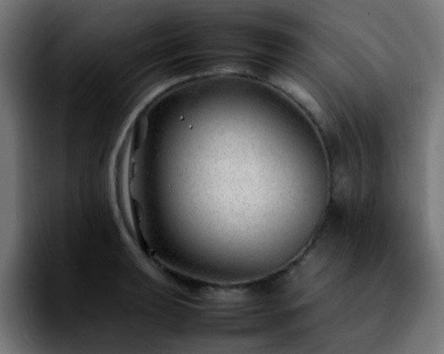 X0000092281039200709211152