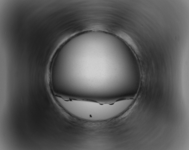 X0000092281040200709211152