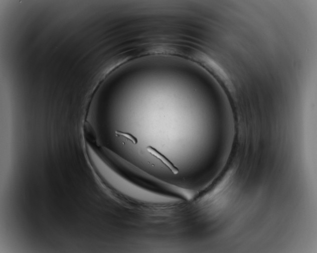 X0000092281041200709211152