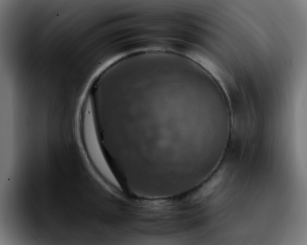 X0000092281045200709211152