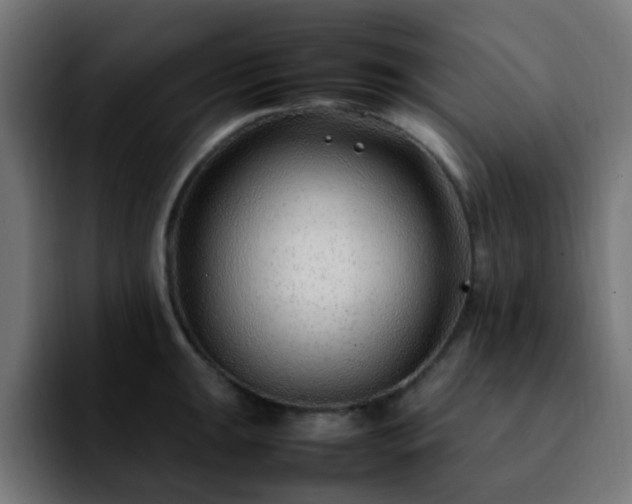 X0000092281047200709211152