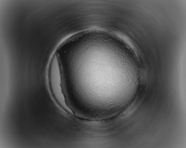 X0000092281048200709211152