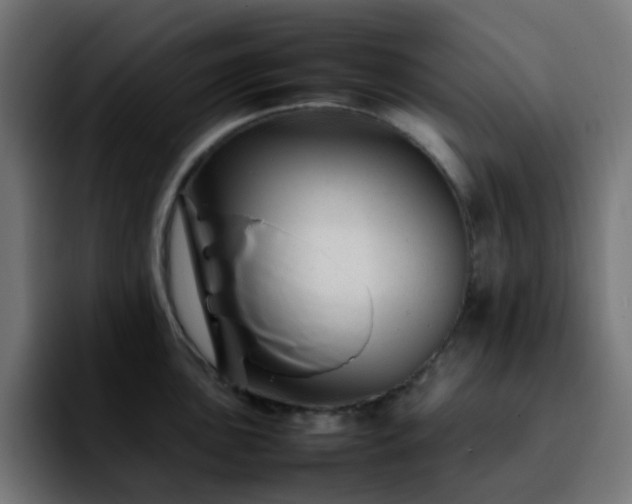 X0000092281051200709211152