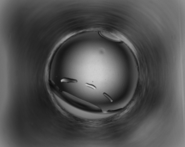 X0000092281053200709211152