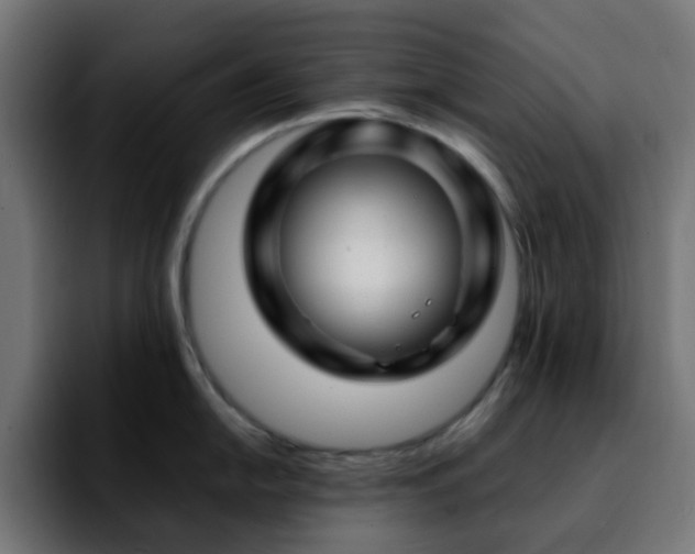 X0000092281054200709211152